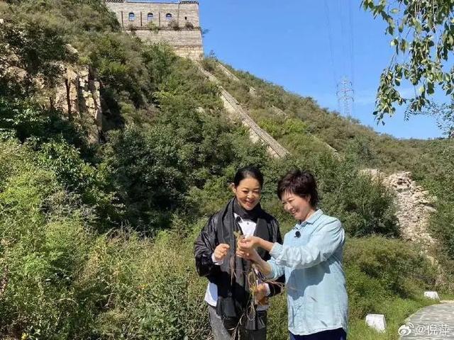 爵士与努尔基奇互相有意续约