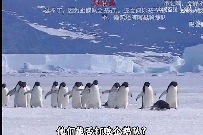 葡萄牙出局！名宿开炮：只怪毫无骨气的主教练，他向C罗卑躬屈膝