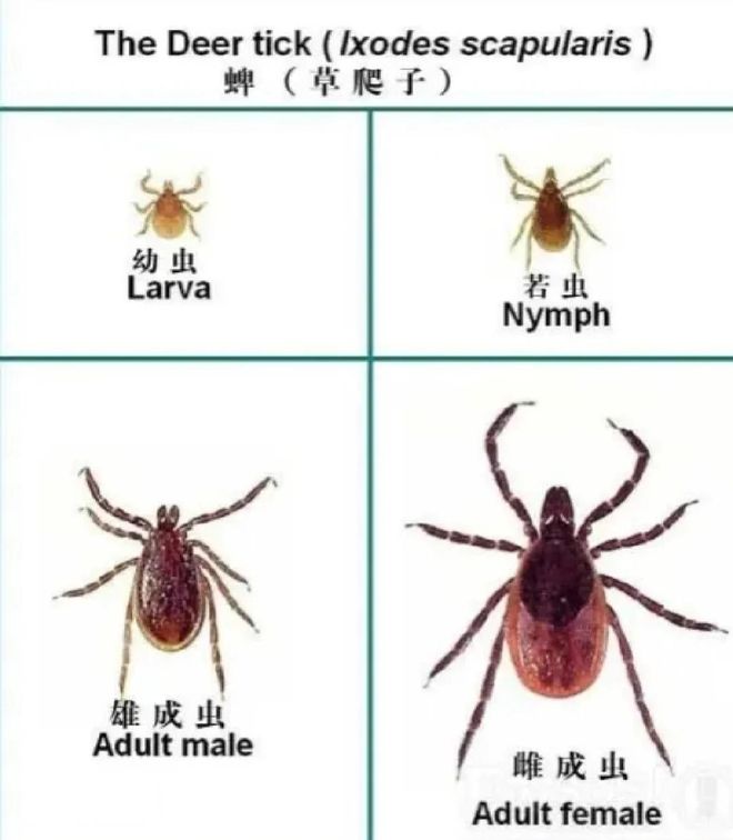 意外!巴顿在赛后说出津门虎被鲁能逆转原因,直言大家控制不住球