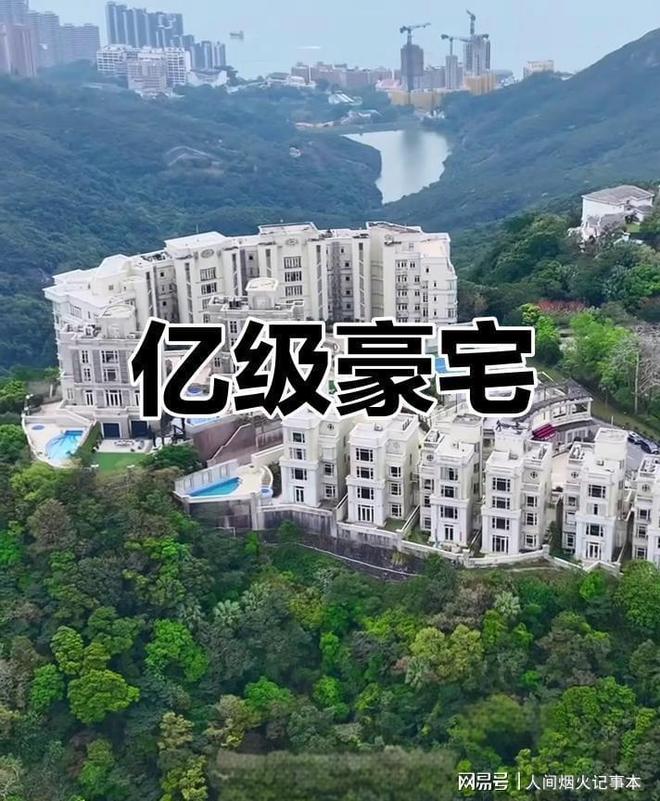 乒乓球嘉年华四强集结崇明,奥运冠军导师送来“攻心课”