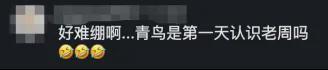 法国队连续3届进世界杯4强，哪届是最强的？姆巴佩能否比肩齐达内