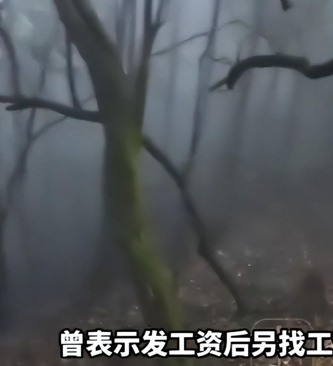 官宣！中国男篮三人离队