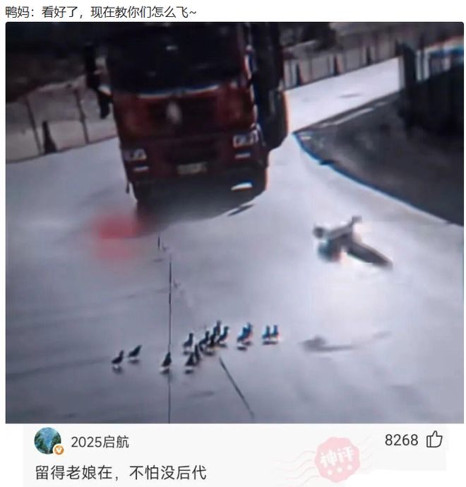 浙大调查422名冠心病逝者,意外发现:得冠心病的人,大多有6共性