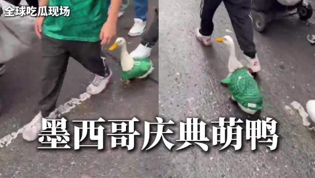 男篮23人集训名单出炉！郭士强大胆启用新人，后卫线迎来全新冲击